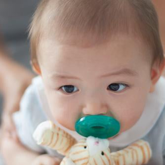 WUBBANUB TABBY KITTEN