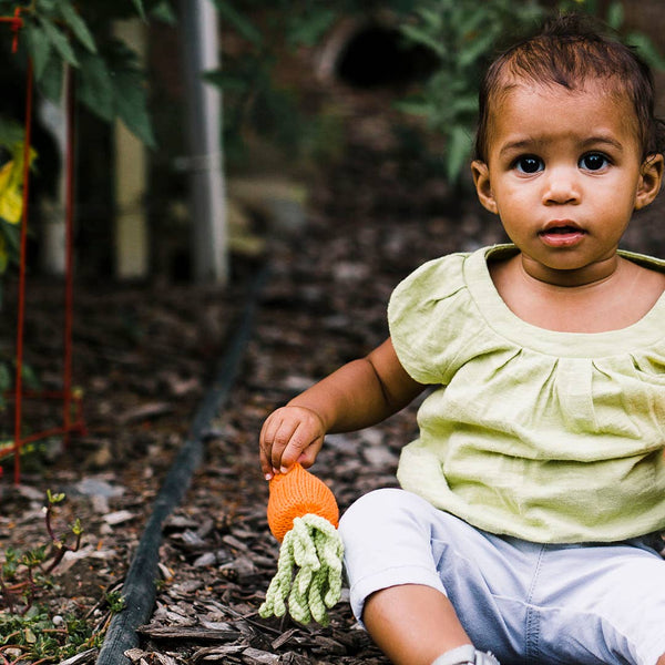 CARROT RATTLE