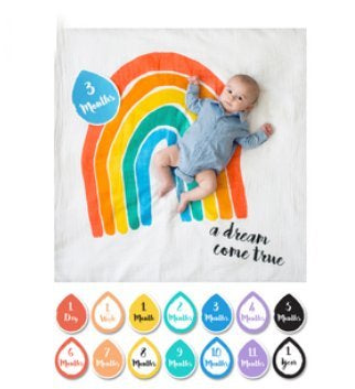 Baby's First Year Blanket & Cards Set - Loved Beyond Measure #22313