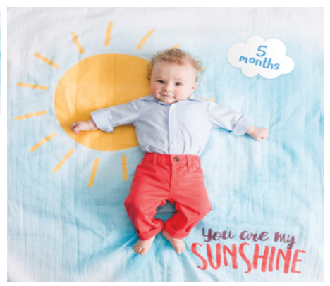 Baby's First Year Blanket & Cards Set-You Are My Sunshine #22588